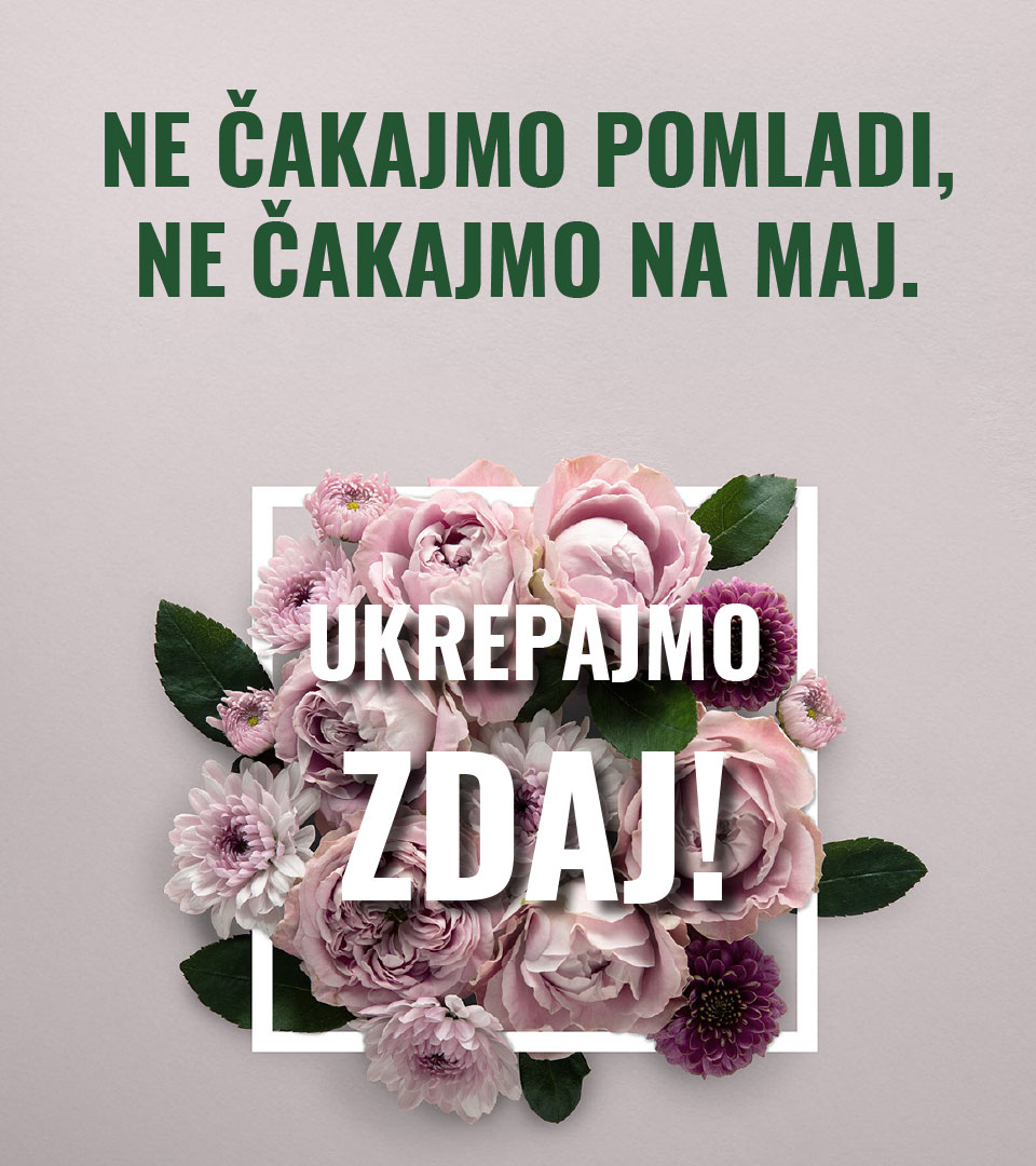 19. Vrh slovenskega gospodarstva