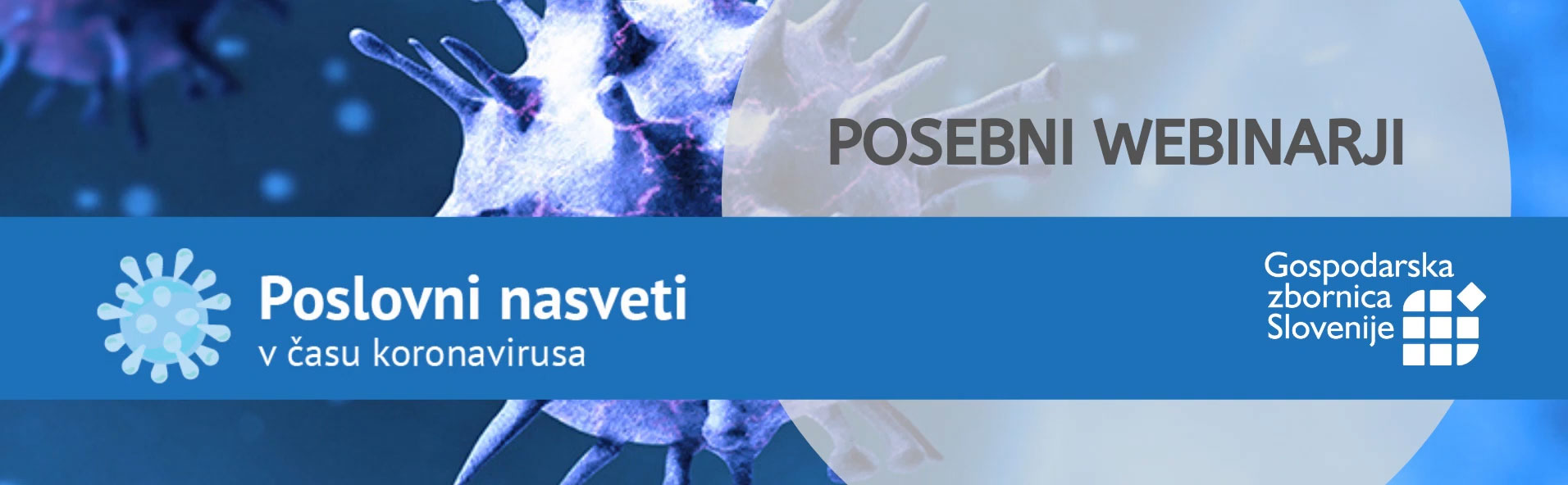 Dolgoročni pristop h kriznemu upravljanju v času COVID-19