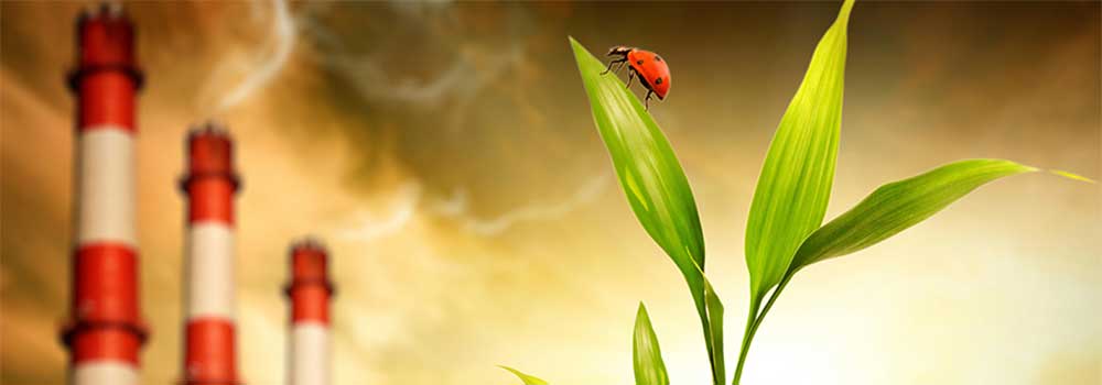 V NEPN pogrešamo oceno potrebnih investicij