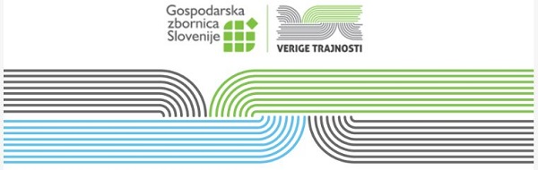 Usposabljanje Trajnostnega prehoda in poslovanja podjetij